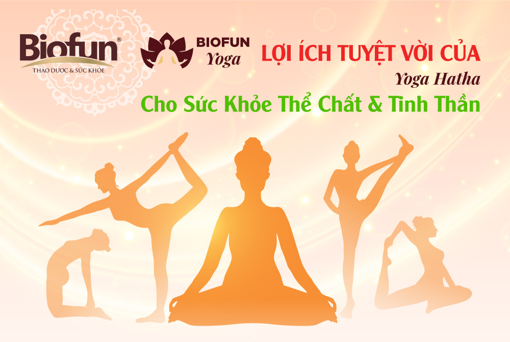 Lợi ích của Yoga Hatha cho sức khỏe thể chất và tinh thần