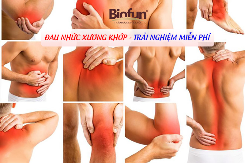 Biofun đau nhức xương khớp Trải nghiệm miễn phí