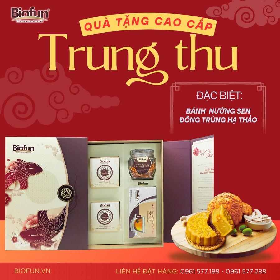 Khám phá Bộ quà tặng Trung thu cao cấp từ Đông trùng hạ thảo Biofun 01