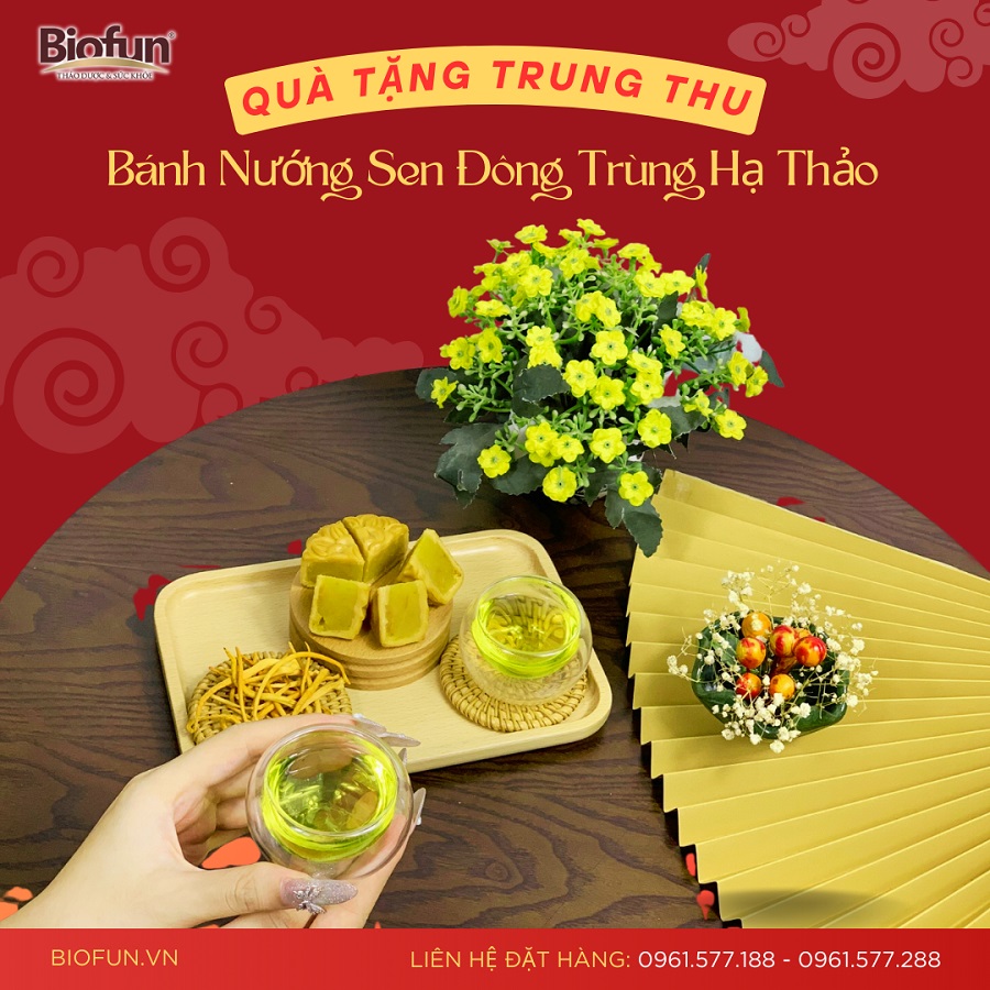 Khám phá Bộ quà tặng Trung thu cao cấp từ Đông trùng hạ thảo Biofun 02