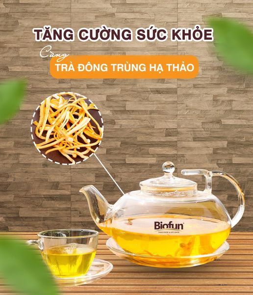 Đông trùng hạ thảo