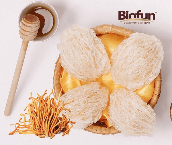 Chế Biến Nấm Đông Trùng Hạ Thảo Thành Món Ăn Bổ Dưỡng