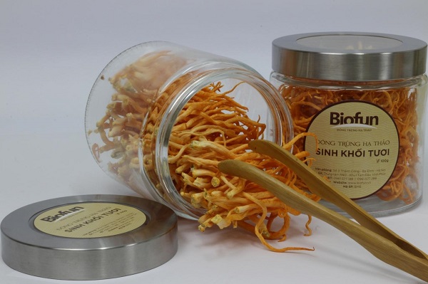 Chế Biến Nấm Đông Trùng Hạ Thảo Thành Món Ăn Bổ Dưỡng