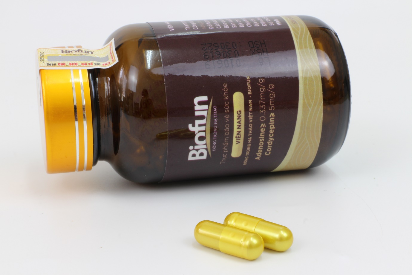 Hiểu Đúng Về Thuốc Cordyceps Và Nấm Đông Trùng Hạ Thảo