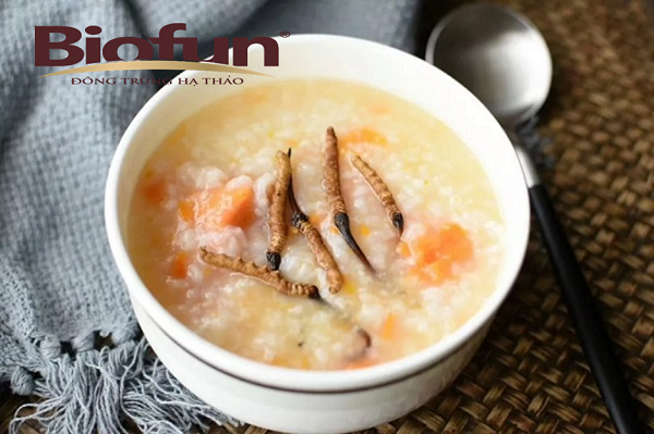 Những Cách Sử Dụng Đông Trùng Hạ Thảo Khô Hiệu Quả Nhất Những Cách Sử Dụng Đông Trùng Hạ Thảo Khô Hiệu Quả Nhất