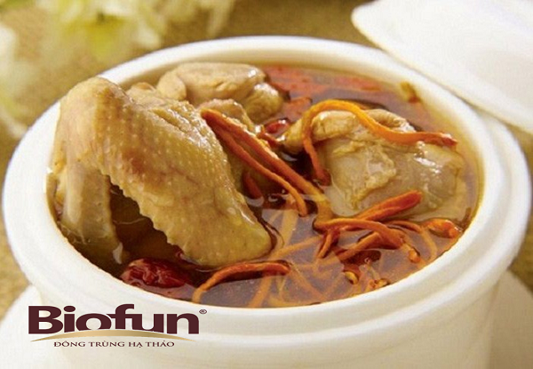 Những Cách Sử Dụng Đông Trùng Hạ Thảo Khô Hiệu Quả Nhất Những Cách Sử Dụng Đông Trùng Hạ Thảo Khô Hiệu Quả Nhất