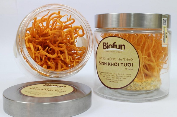 Những Sai Lầm Trong Cách Sử Dụng Đông Trùng Hạ Thảo Tươi Những Sai Lầm Trong Cách Sử Dụng Đông Trùng Hạ Thảo Tươi