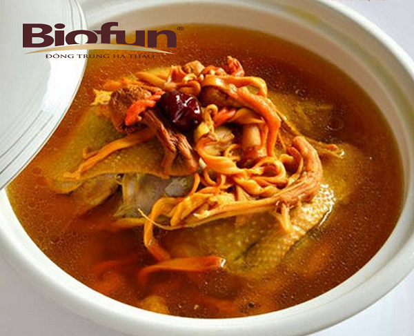 Những Sai Lầm Trong Cách Sử Dụng Đông Trùng Hạ Thảo Tươi Những Sai Lầm Trong Cách Sử Dụng Đông Trùng Hạ Thảo Tươi