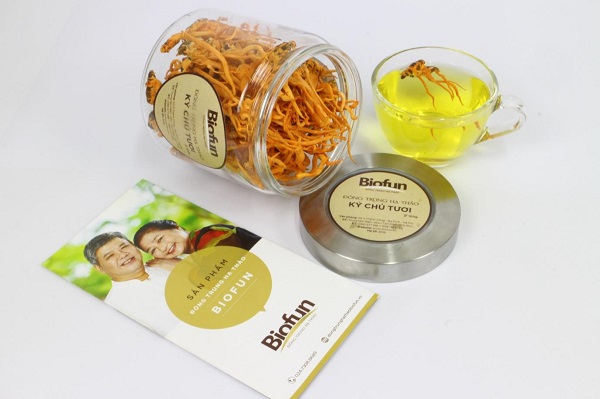 Những Sai Lầm Trong Cách Sử Dụng Đông Trùng Hạ Thảo Tươi Những Sai Lầm Trong Cách Sử Dụng Đông Trùng Hạ Thảo Tươi