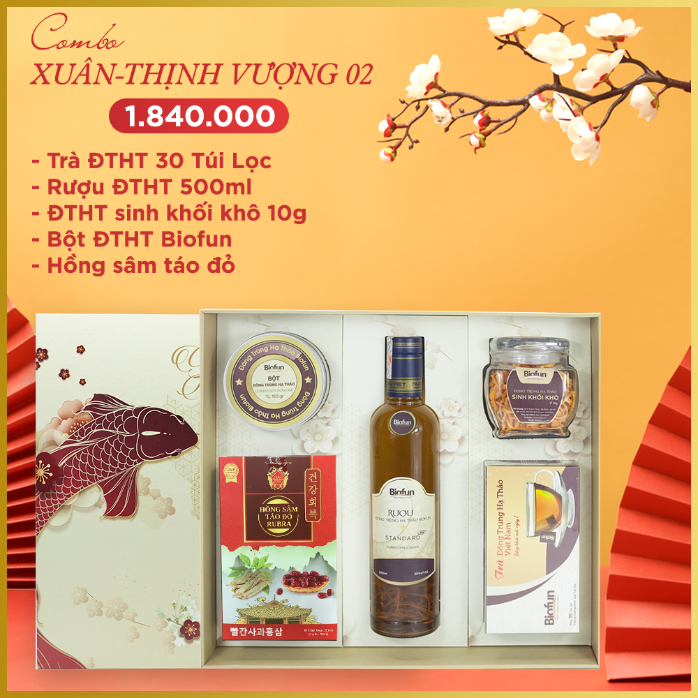 Top 3 Hộp Quà Tết Doanh Nghiệp Sang Trọng, Giá Tốt Tại BIOFUN