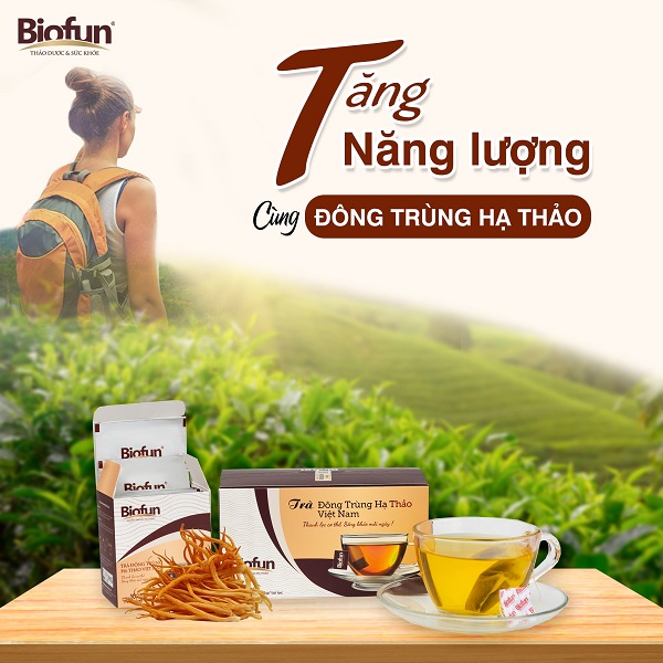 Trà Đông trùng hạ thảo