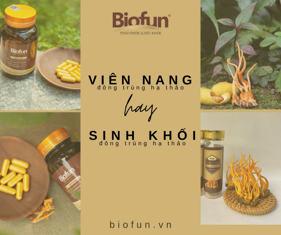 So sánh Viên Nang và Sợi Sinh Khối Đông Trùng Hạ Thảo: Loại Nào Phù Hợp Với Bạn?