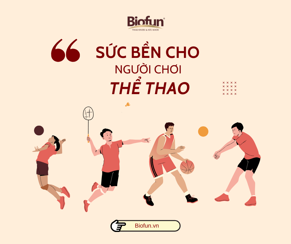 Đông Trùng Hạ Thảo: THẦN DƯỢC CHO NGƯỜI CHƠI THỂ THAO