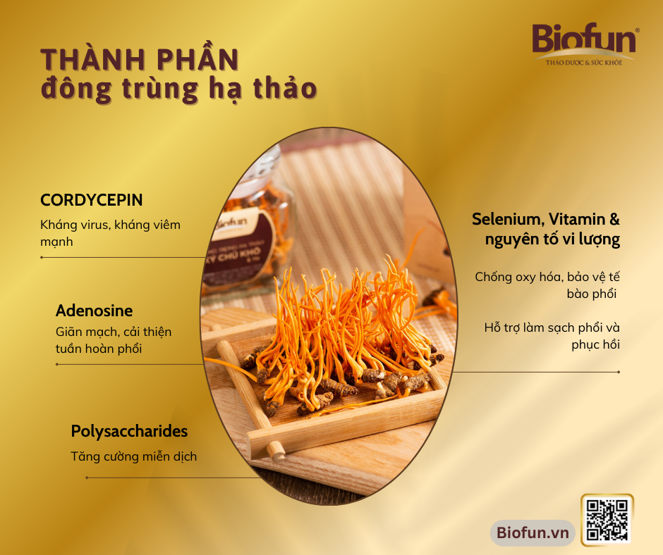 Chuyên gia khuyến nghị: Người có bệnh hô hấp nên bổ sung Đông trùng hạ thảo mỗi ngày – vì sao?