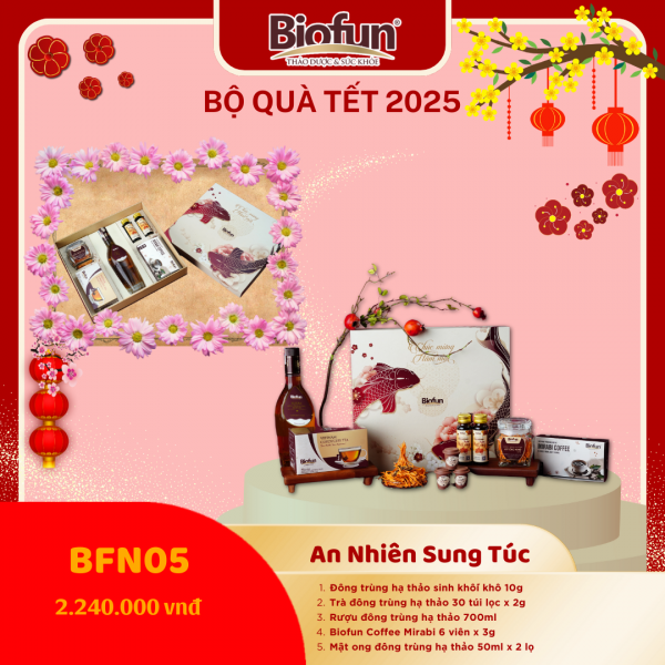 Bộ Quà Tặng Tết 2025 - An Nhiên Sung Túc BFN05