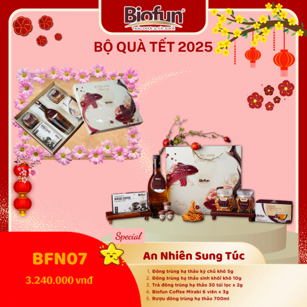 Bộ Quà Tặng Tết 2025 - An Nhiên Sung Túc BFN07