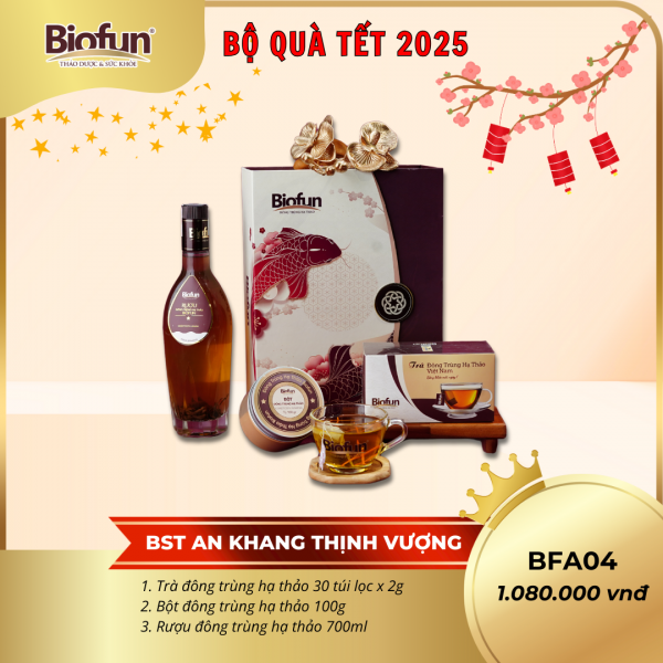 Bộ Quà Tặng Tết 2025 - An Khang Thịnh Vượng BFA04