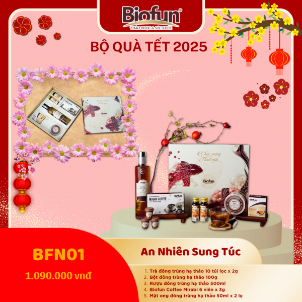 Bộ Quà Tặng Tết 2025 - An Nhiên Sung Túc BFN01