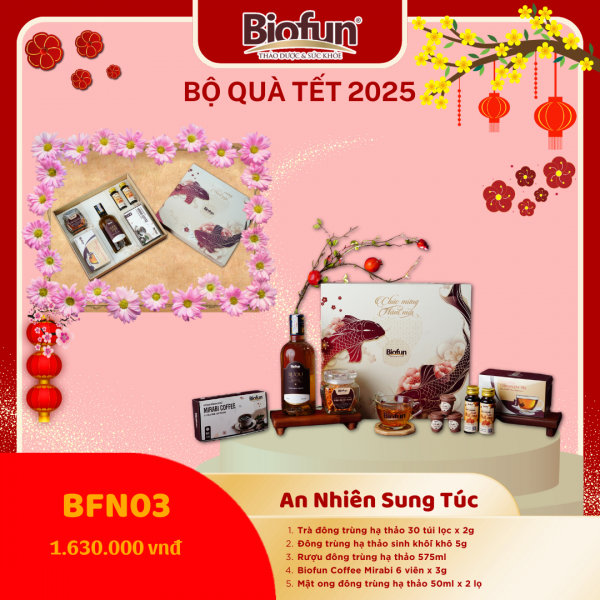 Bộ Quà Tặng Tết 2025 - An Nhiên Sung Túc BFN03