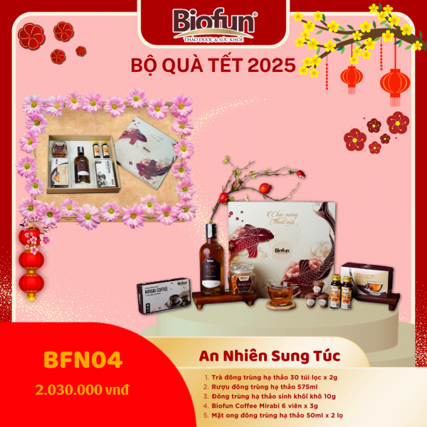 Bộ Quà Tặng Tết 2025 - An Nhiên Sung Túc BFN04