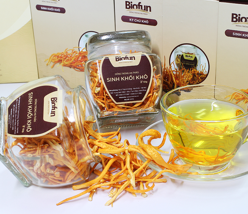 乾燥冬虫夏草（バイオマス）- 10g