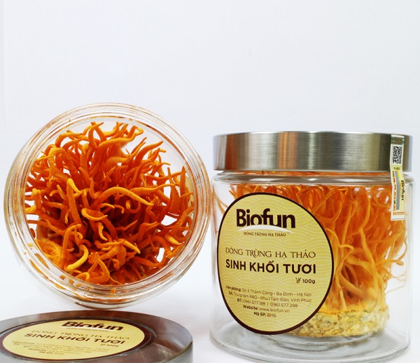 Fresh Biomass Cordyceps