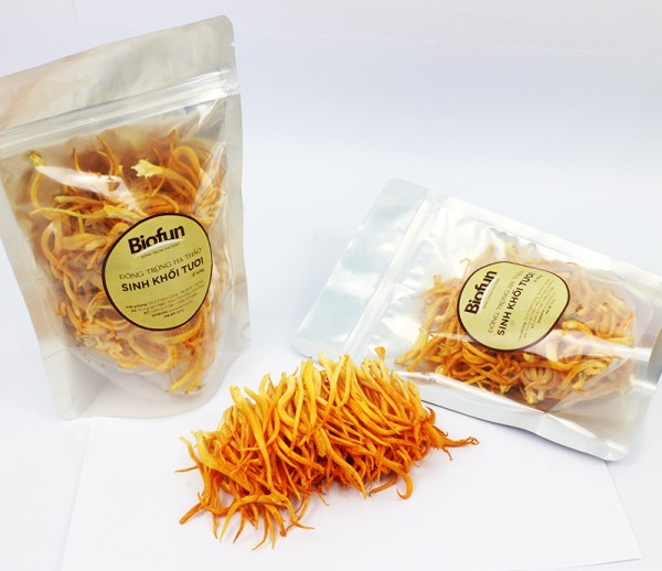 Fresh Fruiting Body Cordyceps 100g
