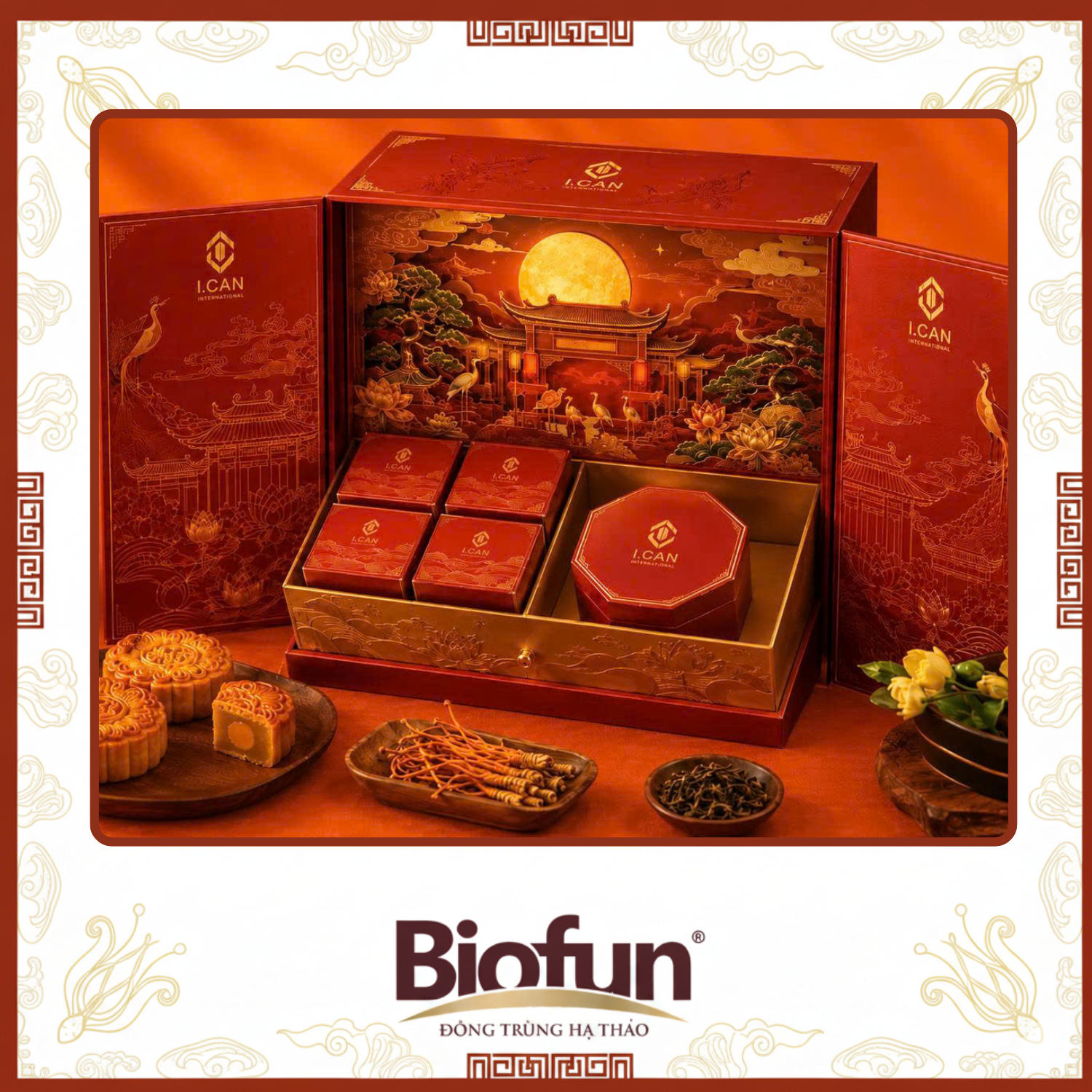 Bách Niên Thưởng Nguyệt - Bách Niên Collection 2
