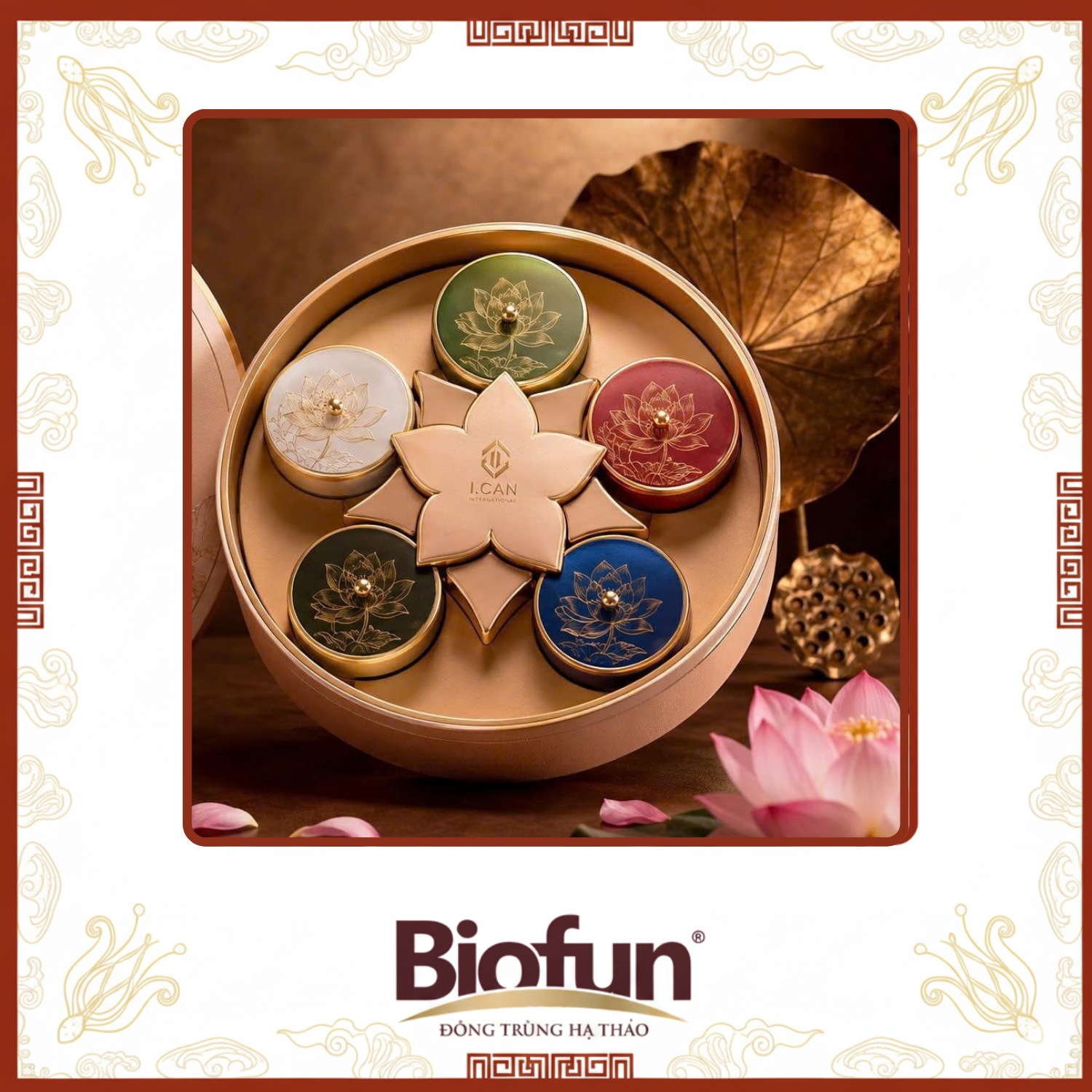 Moonlight Wellness: Dòng Hiện Đại 1